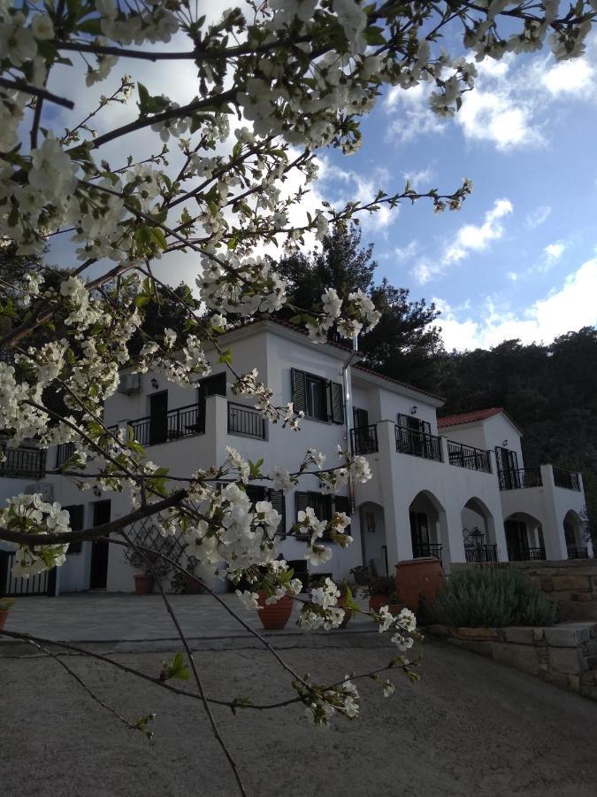 Raches  Eri Rooms To Let מראה חיצוני תמונה